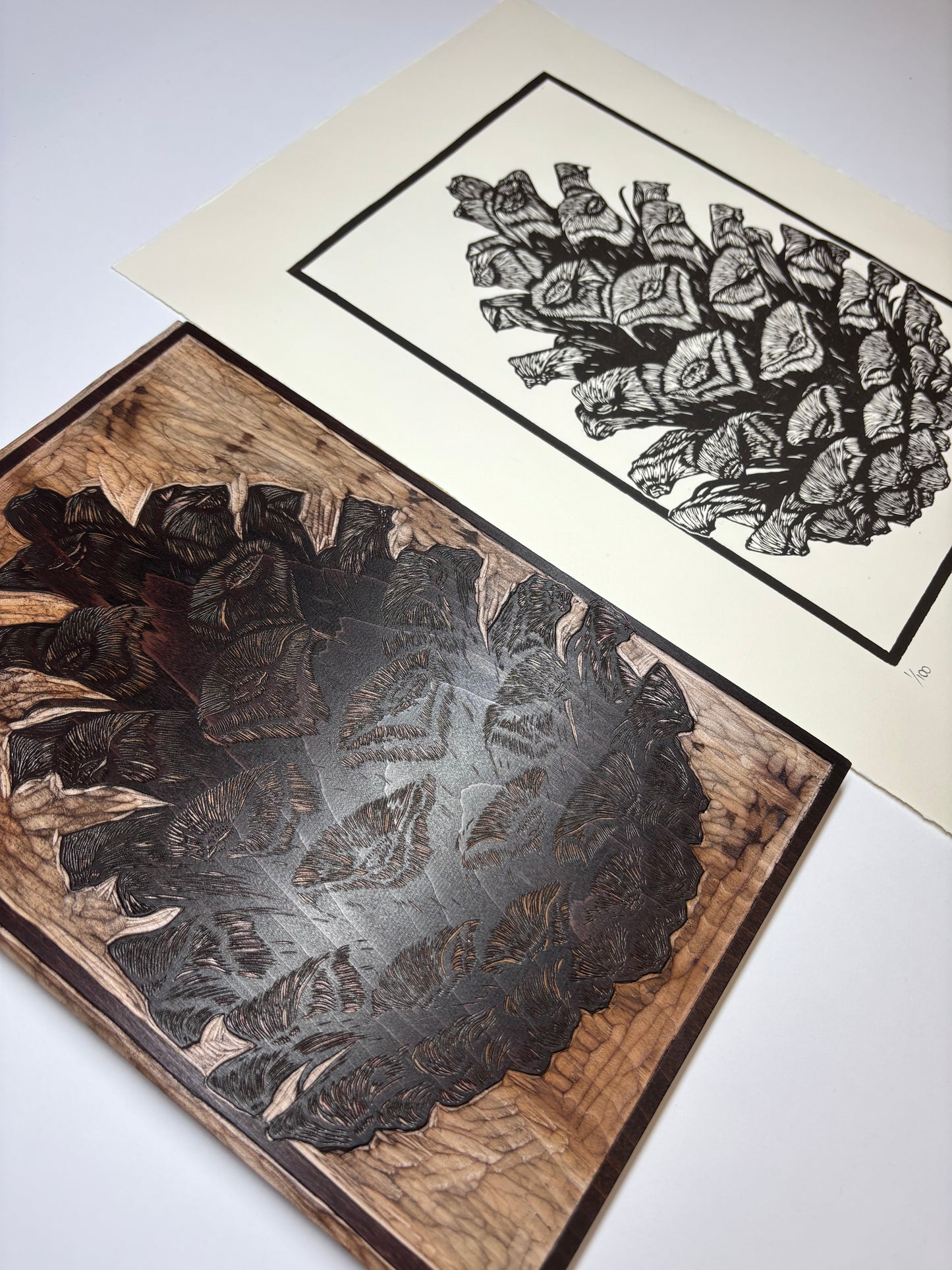 Pine cone woodcut print