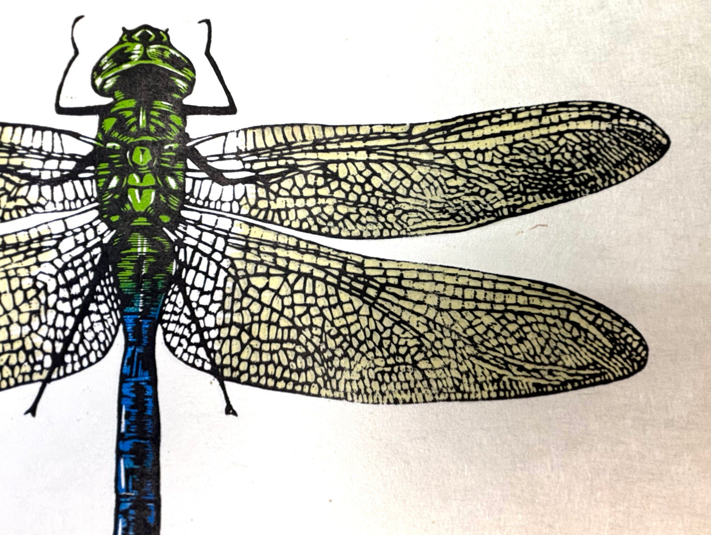 The Emperor - Woodcut print of a dragonfly