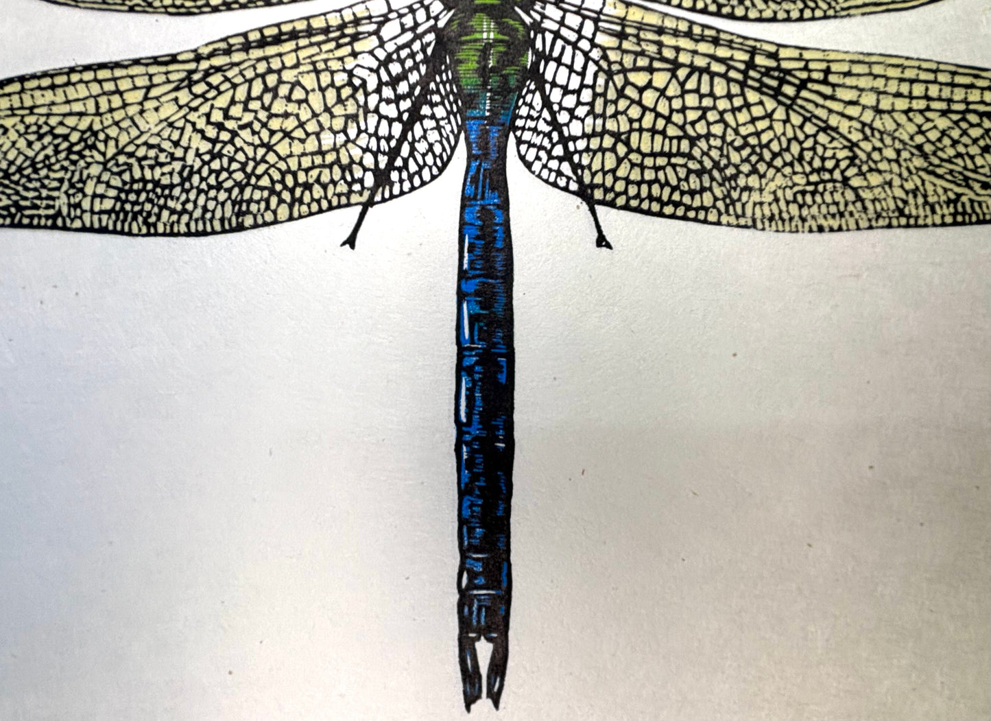 The Emperor - Woodcut print of a dragonfly