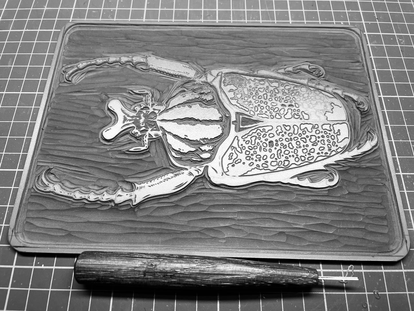 Goliath Beetle Linocut Print