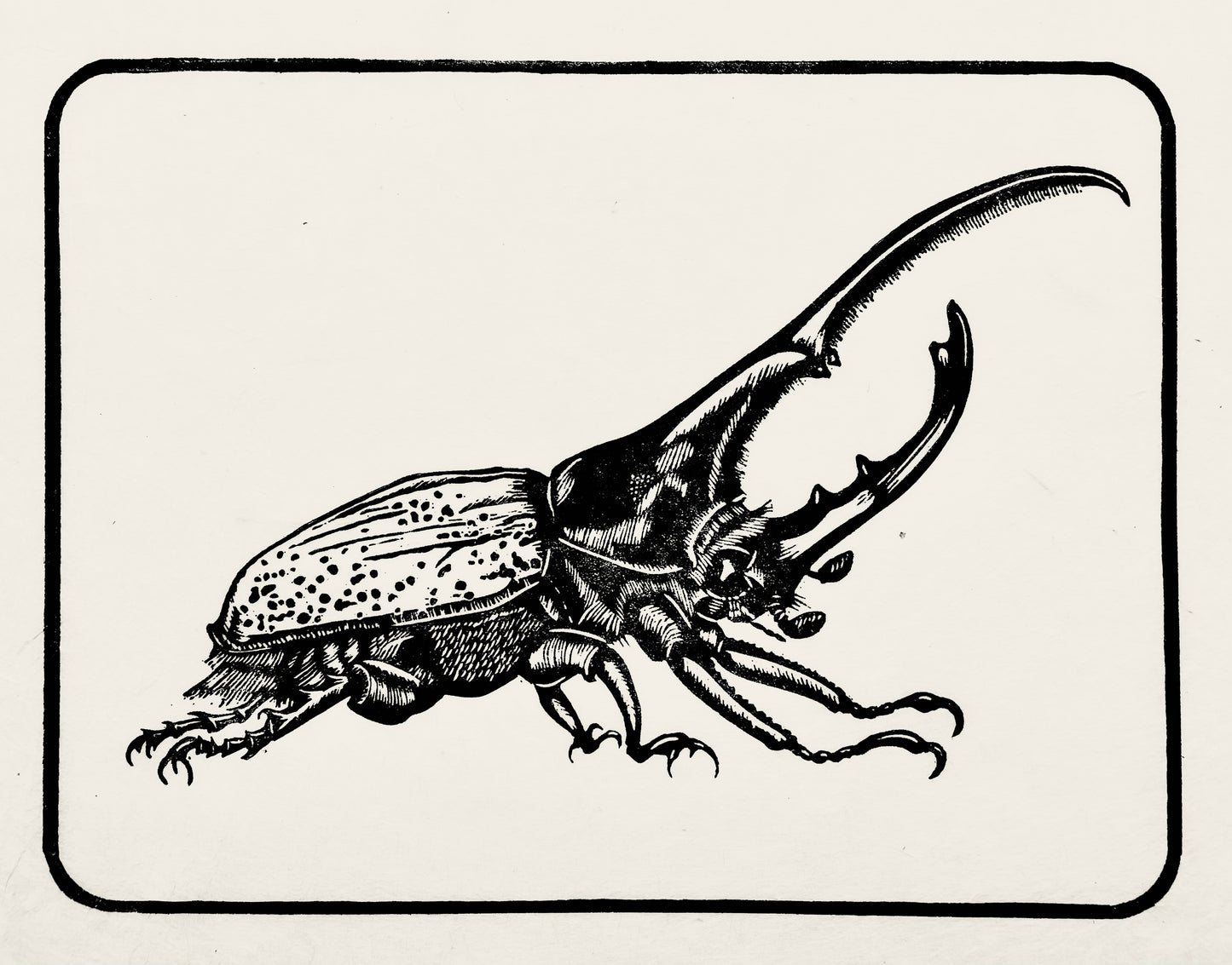 Hercules Beetle Linocut Print