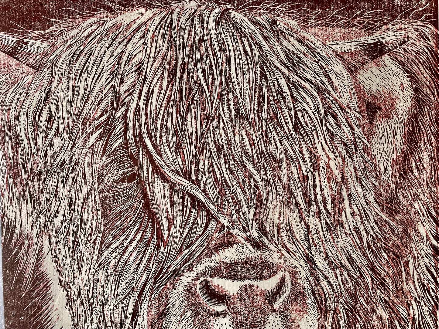 Highland Cow Linocut Print