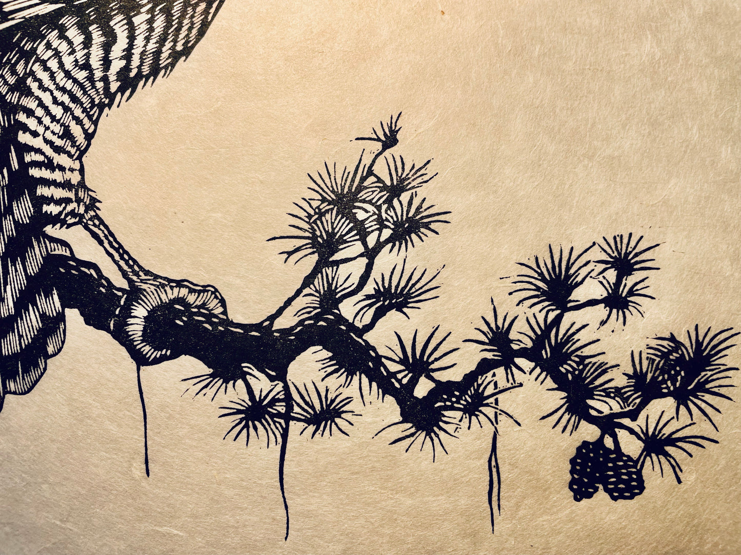 Sparrowhawk Linocut Print