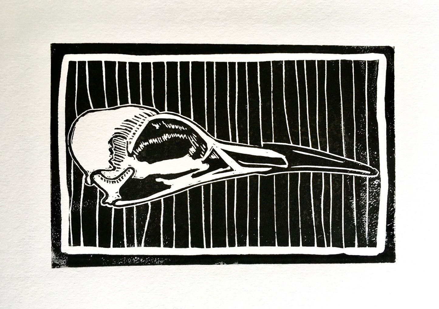Guillemot Skull Linocut Print