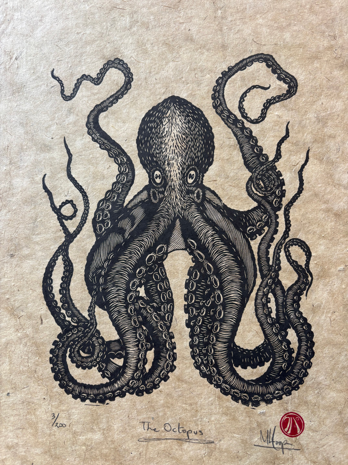 Linotype Octopus The Octopus (small) Linoprint – HuPa Linocuts