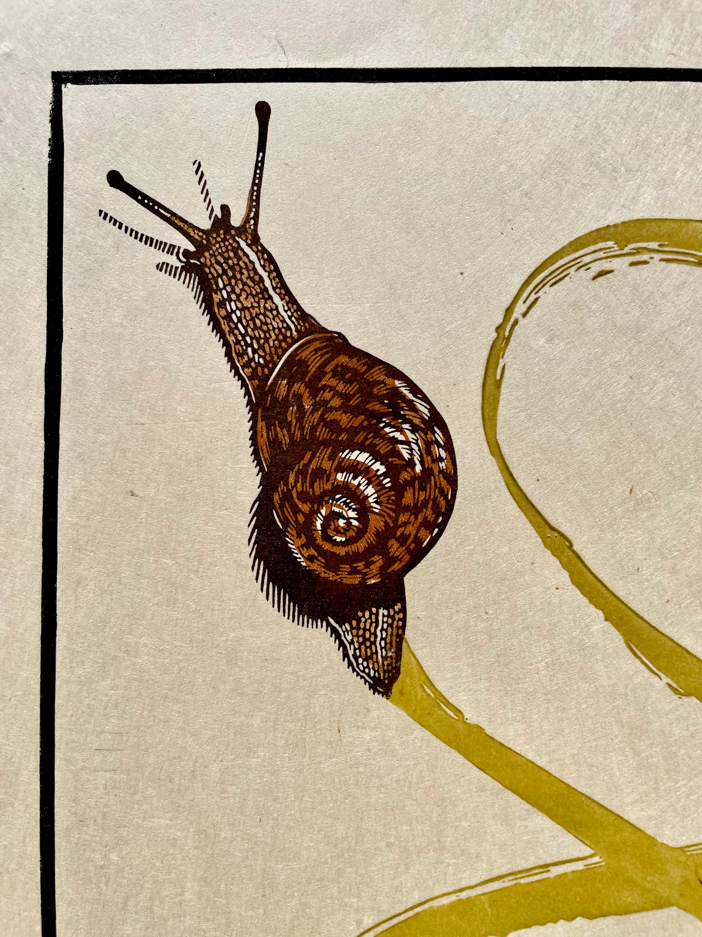 The Snail Linocut Print
