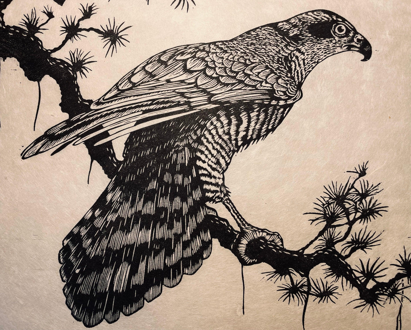 Sparrowhawk Linocut Print
