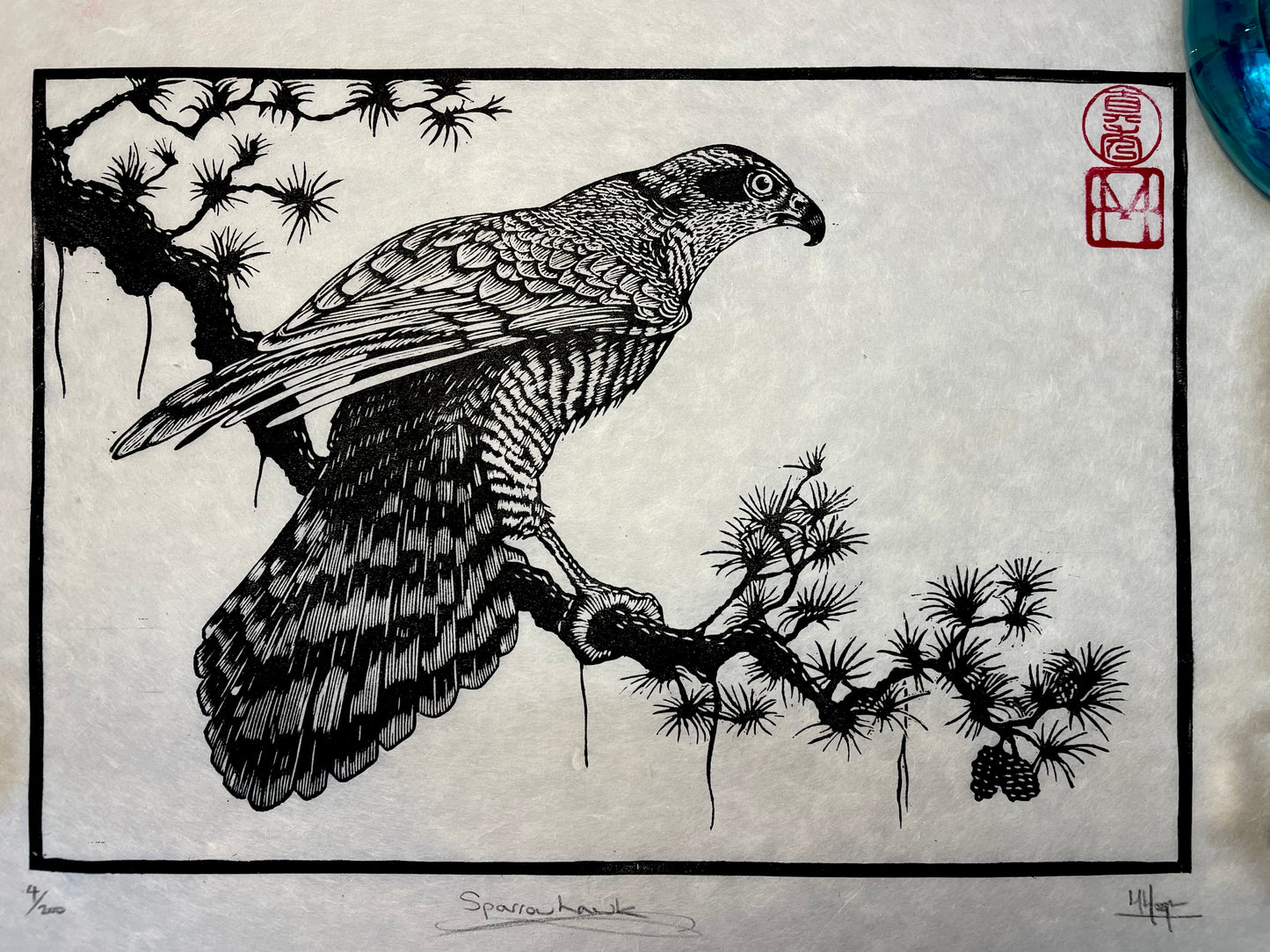 Sparrowhawk Linocut Print