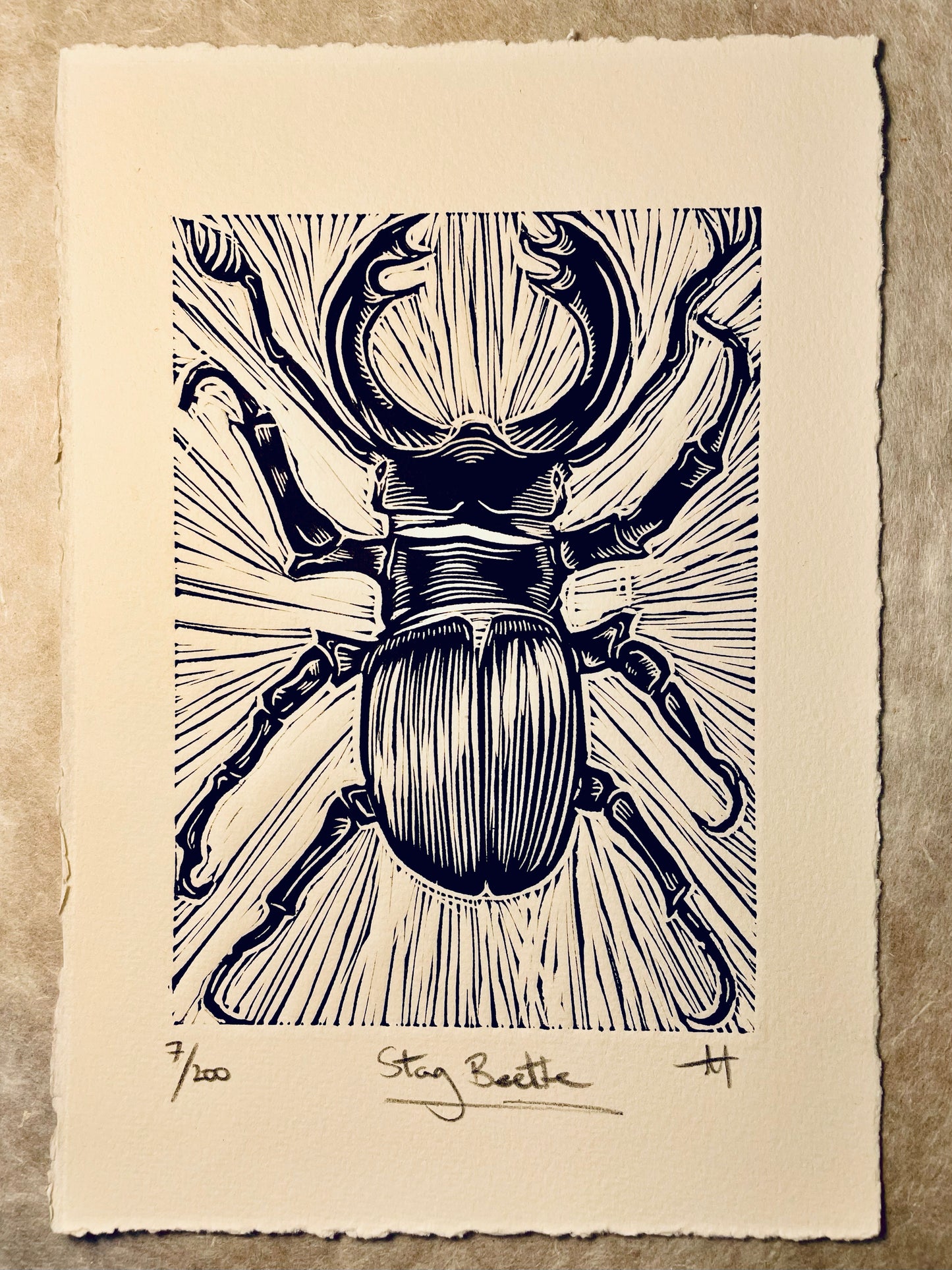Stag Beetle Linocut Print