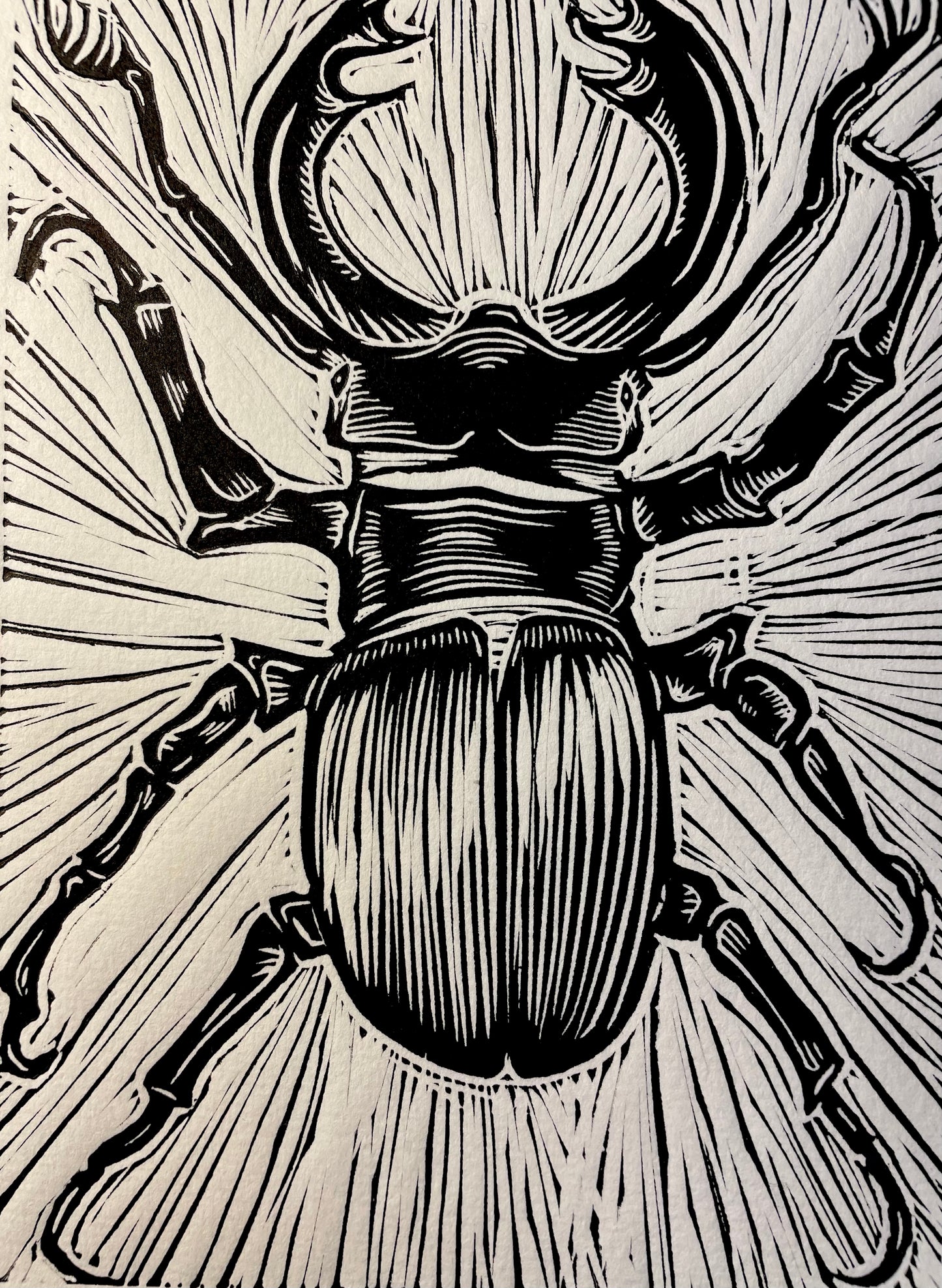Stag Beetle Linocut Print