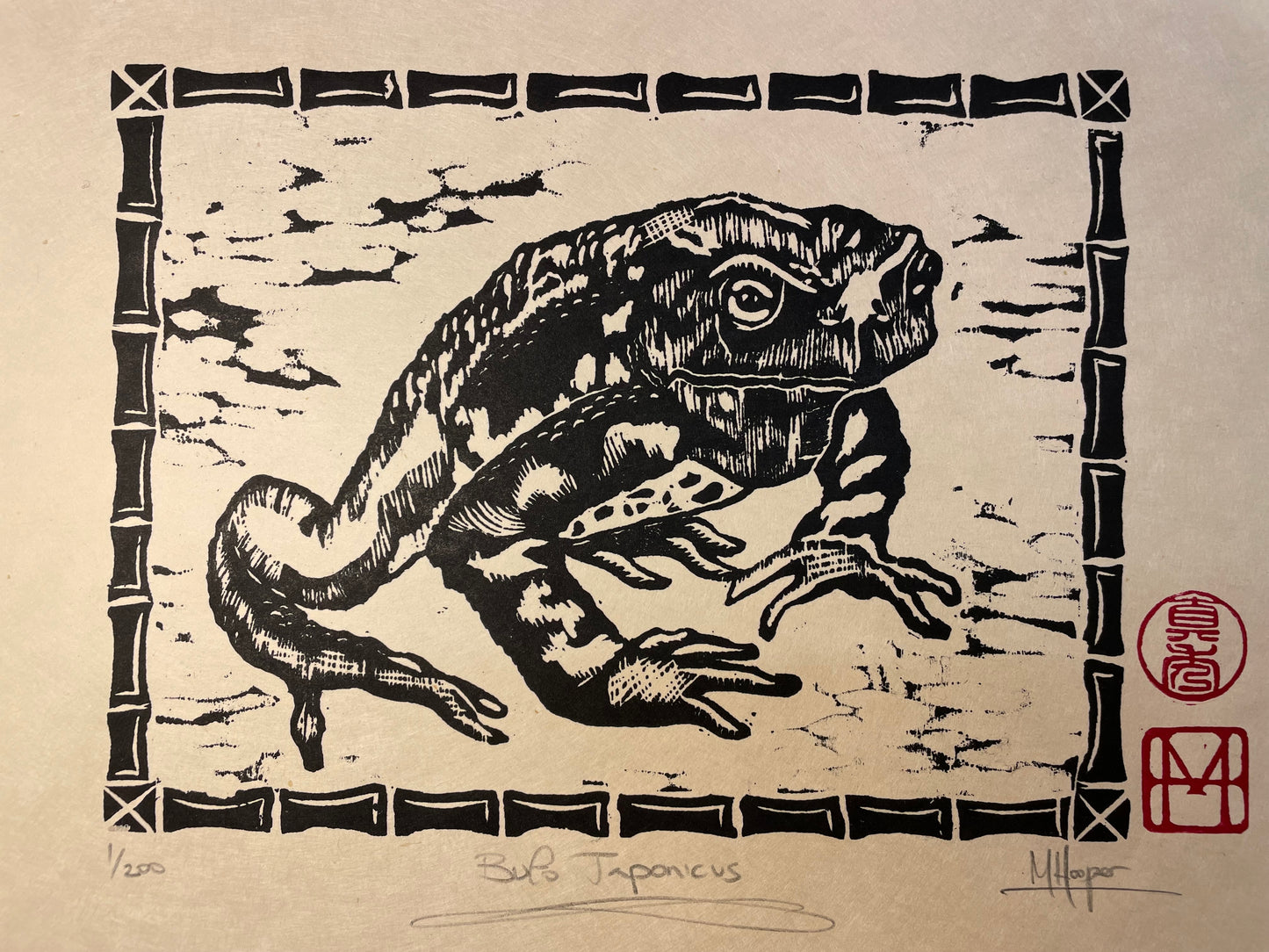 Bufo Japonicus - Toad Woodblock Print