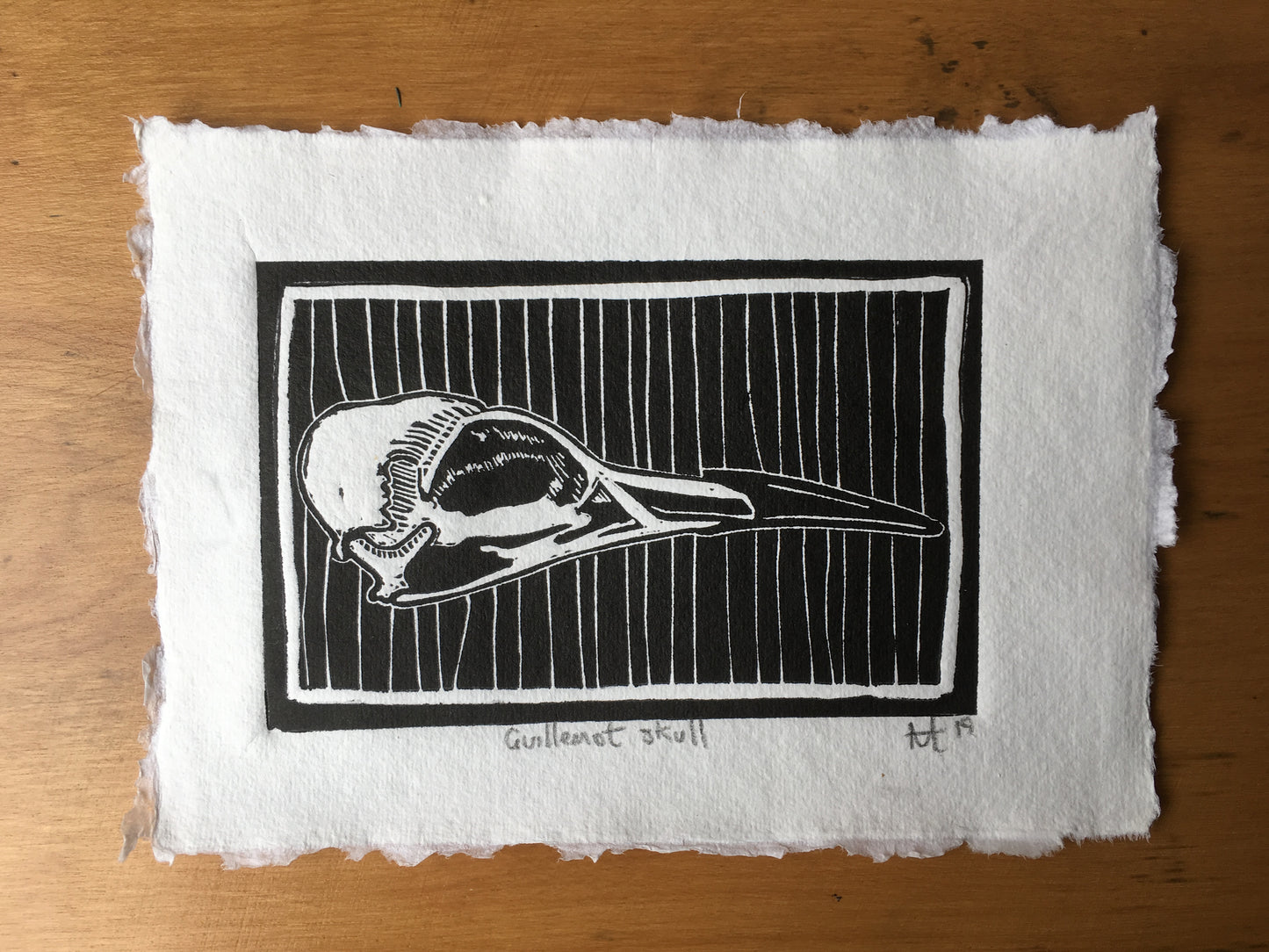 Guillemot Skull Linocut Print