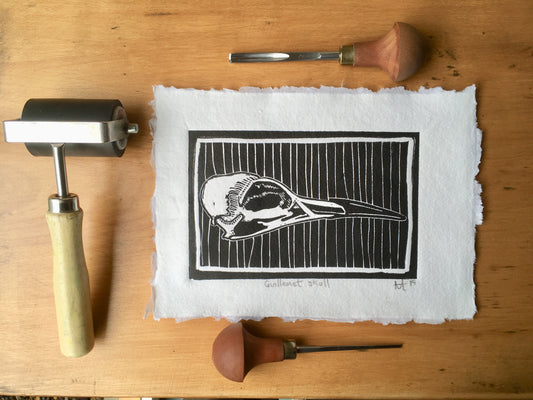 Guillemot Skull Linocut Print